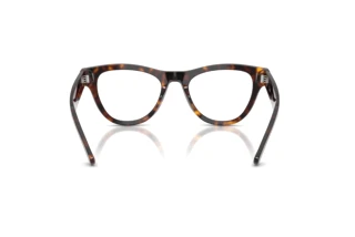 Vista posteriore Ray-Ban RX5510 (2012)