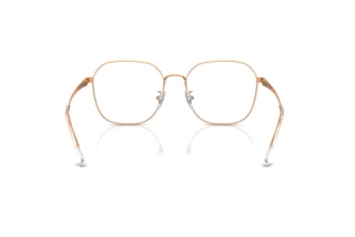 Vista posteriore Ray-Ban RX6490D (3094)