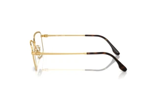 Vista laterale Ray-Ban RX6511 (2500)