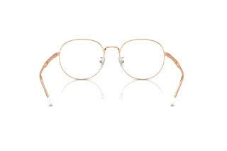 Vista posteriore Ray-Ban RX6517D (3094)