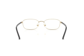 Vista posteriore Ray-Ban RX6551D (2993)