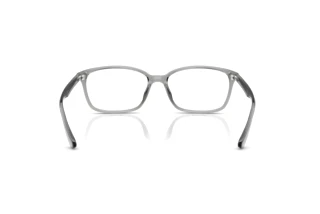 Vista posteriore Ray-Ban RX7094D (8012)