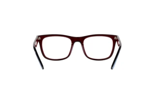 Vista posteriore Ray-Ban RX7209 (8213)