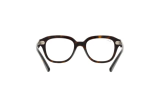 Vista posteriore Ray-Ban ERIK (RX7215 - 2012)