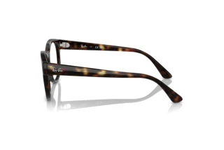Vista laterale Ray-Ban RX7227 (2012)
