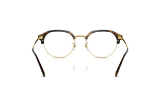 Vista posteriore Ray-Ban RX7229 (2012)