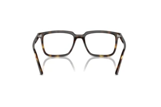 Vista posteriore Ray-Ban ALAIN (RX7239 - 2012)