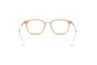 Vista posteriore Ray-Ban RX7247D (8473)