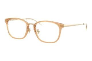 Vista frontale Ray-Ban RX7247D (8473)