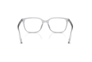 Vista posteriore Ray-Ban RX7248D (8411)