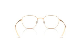 Vista posteriore Ray-Ban RX8777D (1248)