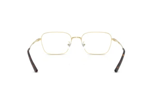 Vista posteriore Ray-Ban RX8784D (1251)
