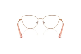 Vista posteriore Swarovski SK1007 (4014)