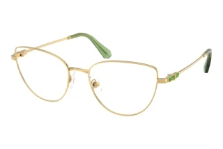 Vista frontale Swarovski SK1007 (4017)