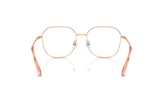 Vista posteriore Swarovski SK1009D (4014)