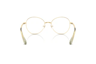 Vista posteriore Swarovski SK1013 (4017)