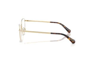 Vista laterale Swarovski SK1029D (4013)