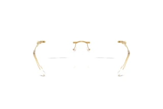 Vista posteriore Swarovski SK1031 (4004)