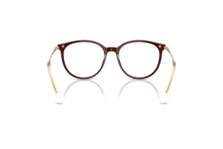 Vista posteriore Swarovski SK2009 (1008)