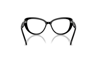 Vista posteriore Swarovski SK2014 (1015)