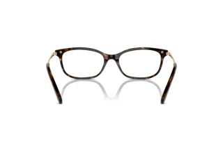 Vista posteriore Swarovski SK2017 (1002)