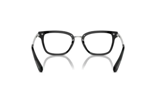 Vista posteriore Swarovski SK2018 (1001)