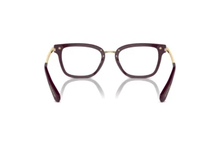 Vista posteriore Swarovski SK2018 (1044)