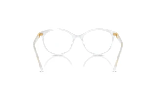 Vista posteriore Swarovski SK2019 (1042)