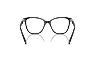 Vista posteriore Swarovski SK2020 (1001)