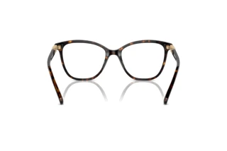 Vista posteriore Swarovski SK2020 (1002)