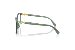 Vista laterale Swarovski SK2020 (1043)