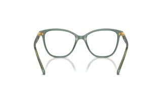 Vista posteriore Swarovski SK2020 (1043)