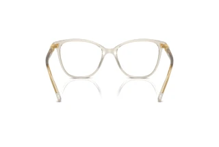 Vista posteriore Swarovski SK2020 (3003)