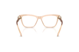 Vista posteriore Swarovski SK2021 (1063)