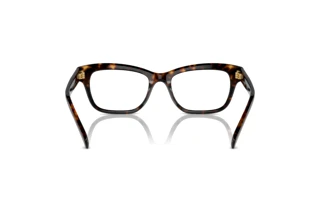 Vista posteriore Swarovski SK2022 (1002)