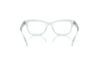 Vista posteriore Swarovski SK2022 (1024)