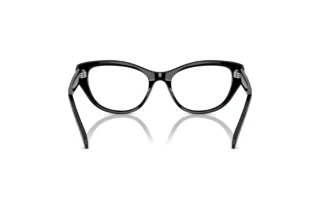 Vista posteriore Swarovski SK2023 (1001)