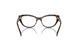 Vista posteriore Swarovski SK2023 (1002)