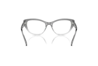 Vista posteriore Swarovski SK2023 (1046)