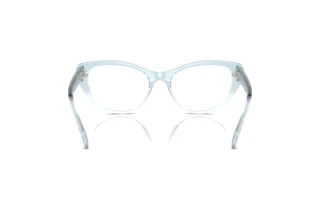 Vista posteriore Swarovski SK2023 (1047)