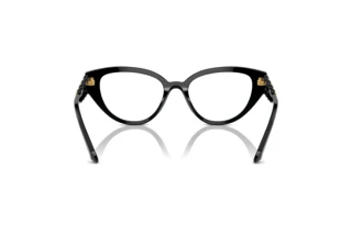 Vista posteriore Swarovski SK2024 (1001)