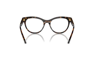 Vista posteriore Swarovski SK2025 (1002)