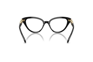 Vista posteriore Swarovski SK2028 (1001)