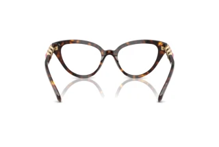 Vista posteriore Swarovski SK2028 (1002)