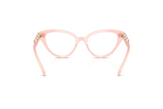 Vista posteriore Swarovski SK2028 (1031)