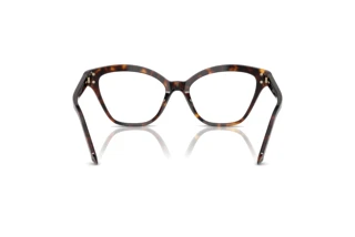 Vista posteriore Swarovski SK2029 (1002)