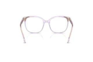 Vista posteriore Swarovski SK2033 (1079)