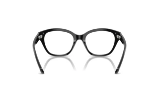 Vista posteriore Swarovski SK2038 (1001)