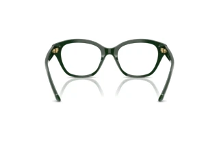 Vista posteriore Swarovski SK2038 (1026)