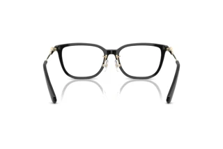 Vista posteriore Swarovski SK2041D (1001)